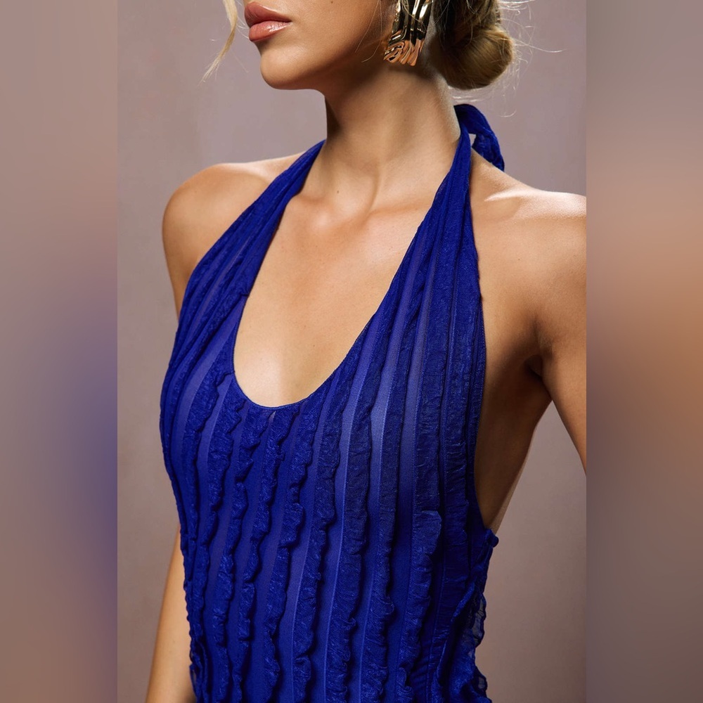 NWT Micas Sheer Ruffle Texture Halter Backless Maxi Dress size XS - Picture 8 of 8